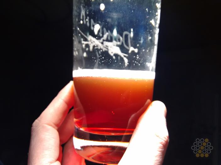 Saku Antvärk Cherry Brew