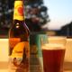 Visit Nördlingen and enjoy a Bavarian Beer